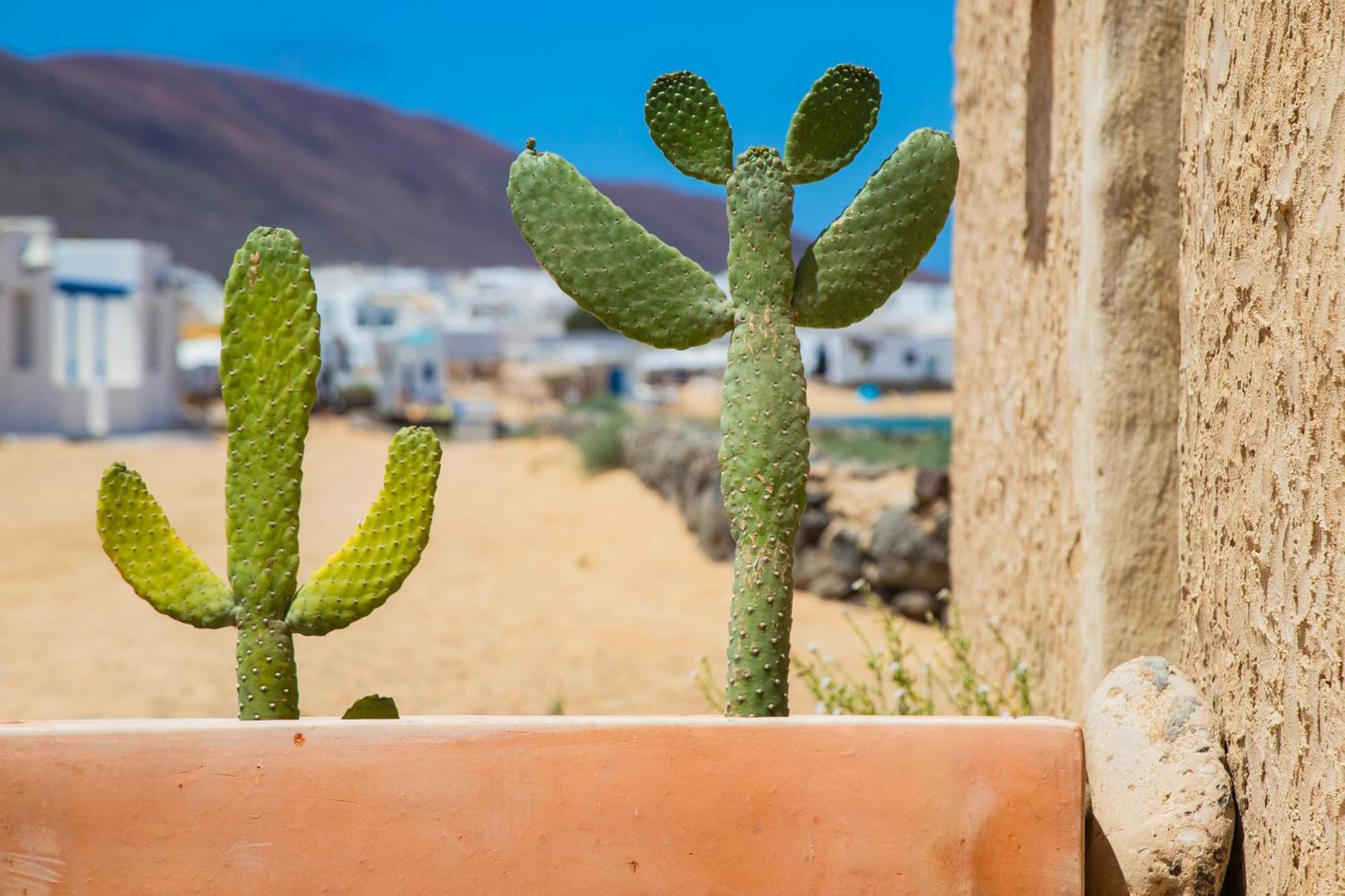 Eslanzarote La Duna House, Wifi, Sea Views Калета де Себо Екстериор снимка
